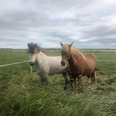 Hreppholar Þrandarholtヴィラ エクステリア 写真