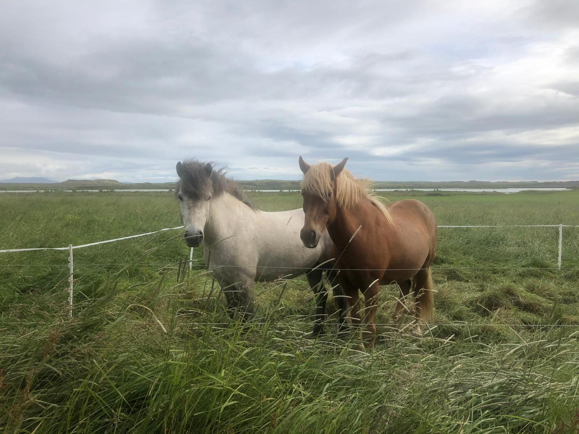 Hreppholar Þrandarholtヴィラ エクステリア 写真