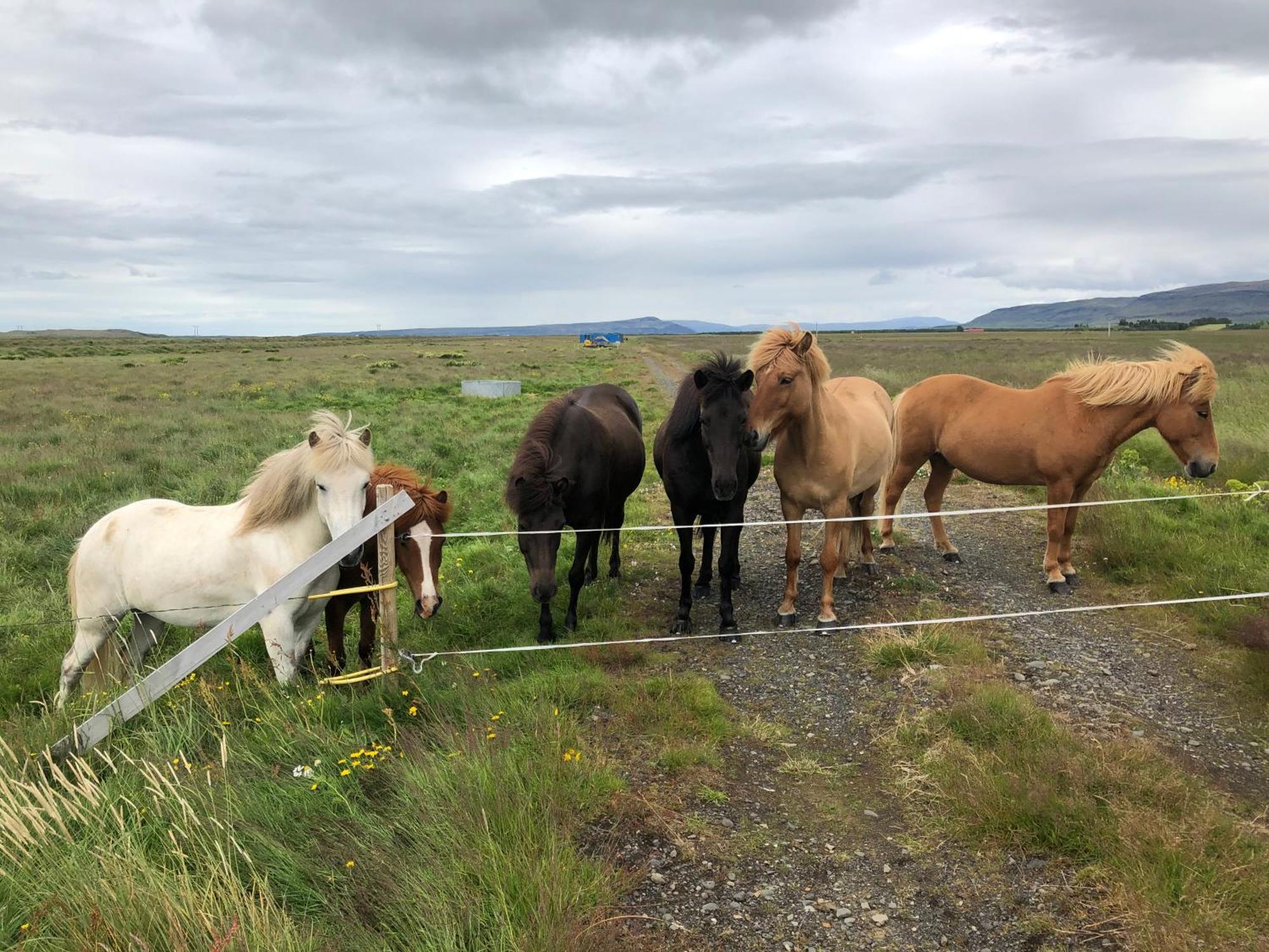 Hreppholar Þrandarholtヴィラ エクステリア 写真